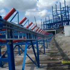 n-alim0501