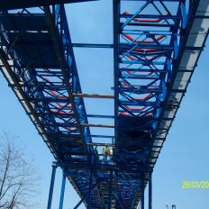 n-alim0631